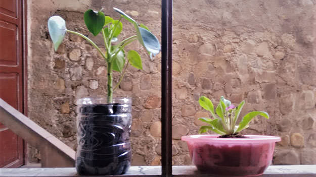 Quedándote o yéndote