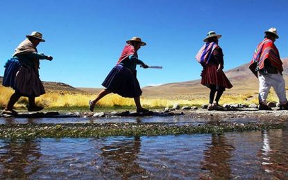 Democracia, autonomías y plurinacionalidad: un proceso en tránsito