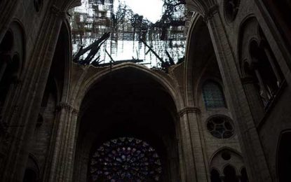 Notre-Dame: Los usos y abusos de las cenizas