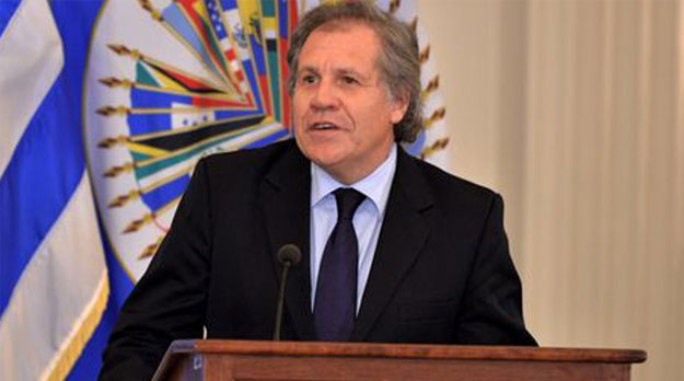 Delincuencia política en la OEA en servicio de Estados Unidos