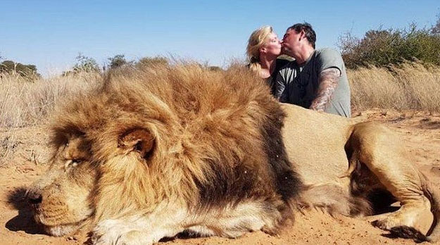 “Asesinato” de un león en África causa repudio internacional