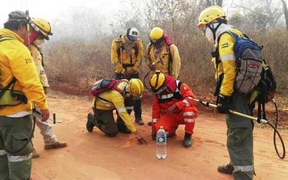 Fuego sobre la Chiquitania: la guerra sucia de la oposición