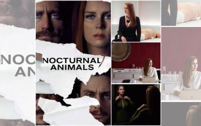 El amor nos ¿trans(forma)?