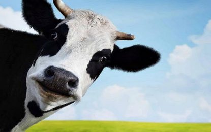 ¿»No comer carne” es una filosofía?