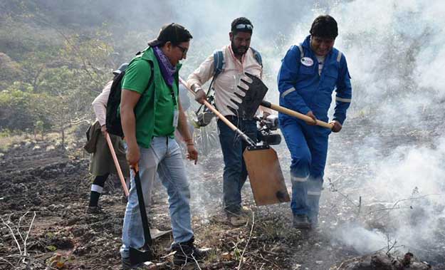 Ofensiva del ‘terrorismo ambiental’ contra Evo Morales