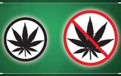 ¿Hay una filosofía de la marihuana?