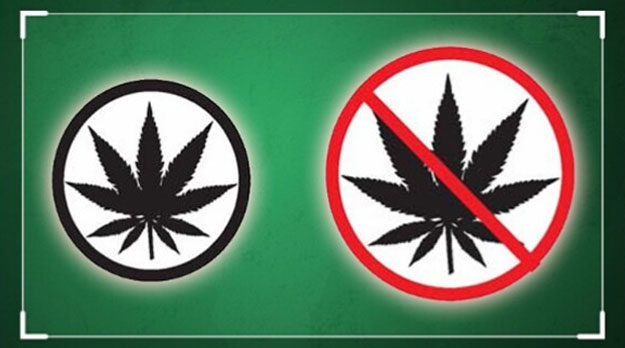 ¿Hay una filosofía de la marihuana?