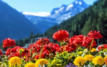 Primavera hermosa… Alegre primavera!!! En el mes más cruel…