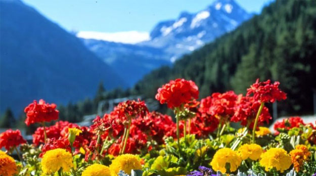 Primavera hermosa… Alegre primavera!!! En el mes más cruel…
