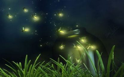 Virus: luciérnagas contra coronas