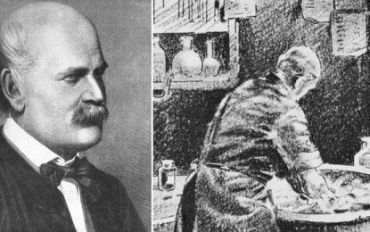 Semmelweis y las causas de la Fiebre Puerperal