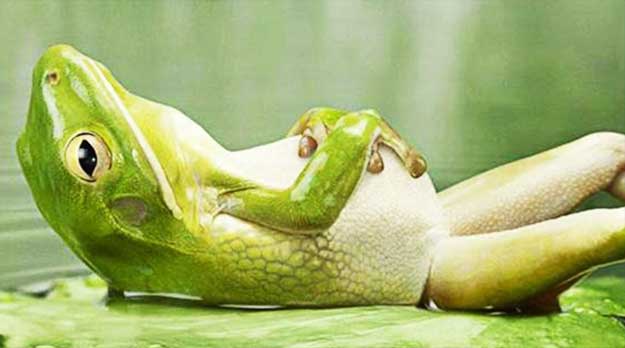 La cruzada antidocente en Mendoza