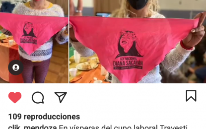 Cupo laboral Travesti-Trans: «Esta ley significa un futuro con menos violencia» (Consuelo Herrera)