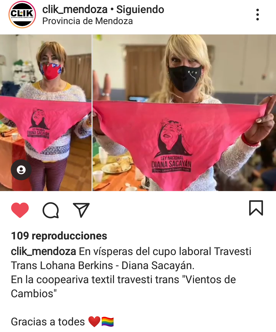 Cupo laboral Travesti-Trans: «Esta ley significa un futuro con menos violencia» (Consuelo Herrera)