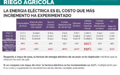 Las empresas eléctricas piden aumento en la tarifa de electricidad pero no  pagan las multas