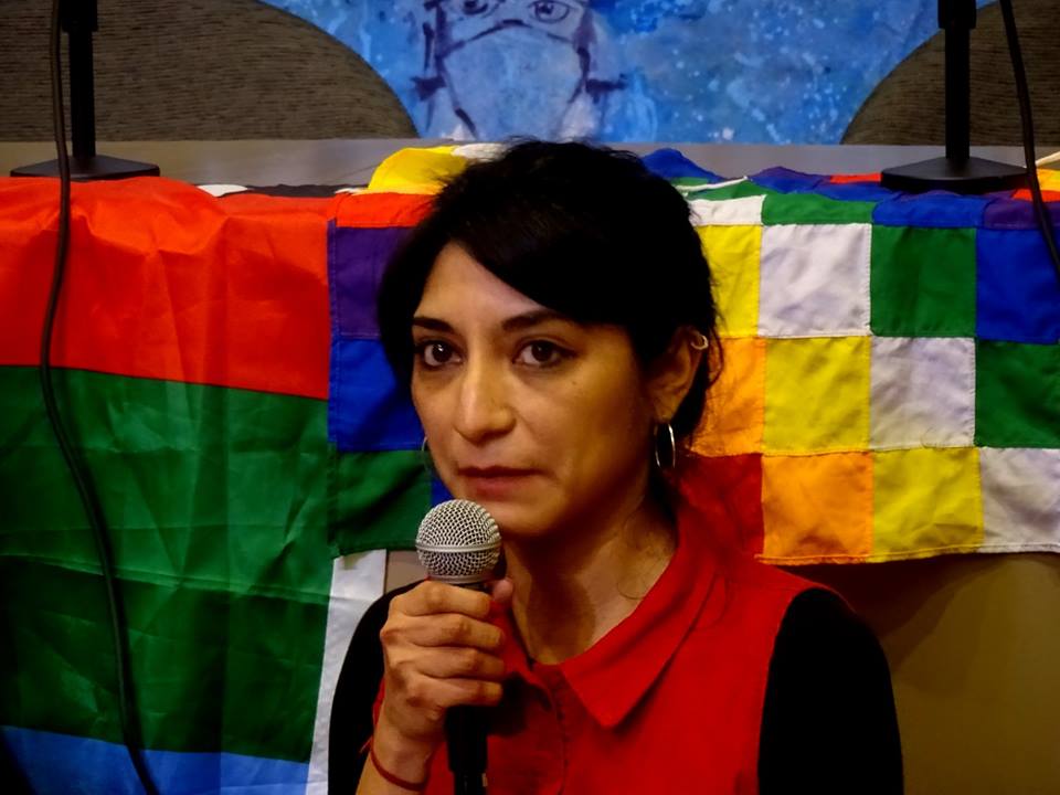Usurpaciones y ancestralidad: “tierra” y “territorio”, dos palabras que dicen cosas muy distintas
