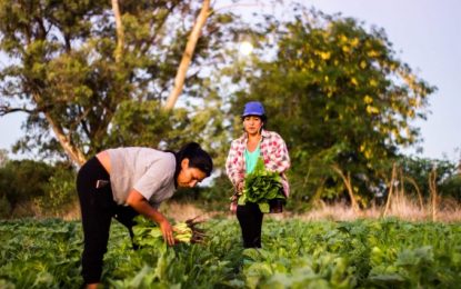 Mujeres y agroecología: un camino hacia la soberanía alimentaria