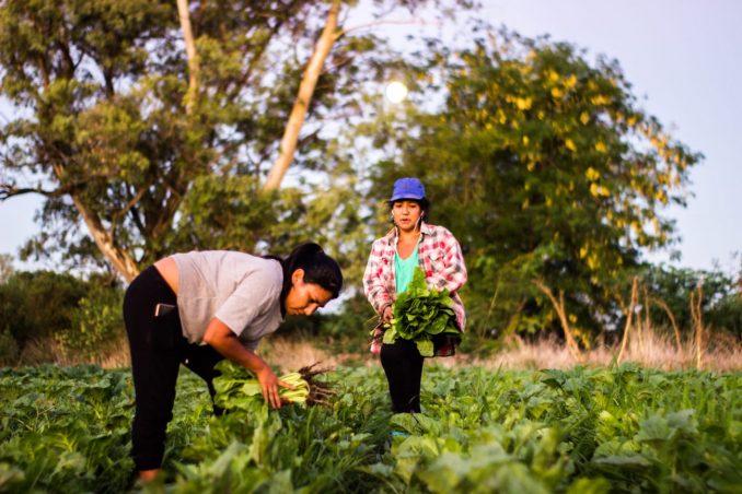 Mujeres y agroecología: un camino hacia la soberanía alimentaria