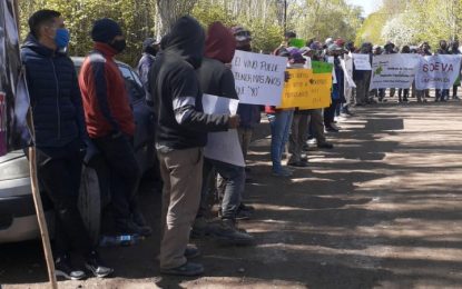 ¿Qué debían votar en el Congreso la semana pasada sobre el régimen viñatero?