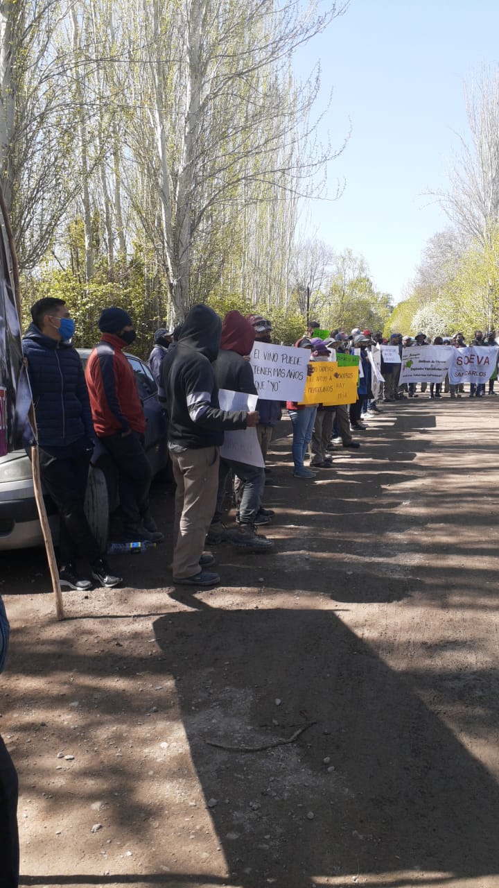 ¿Qué debían votar en el Congreso la semana pasada sobre el régimen viñatero?