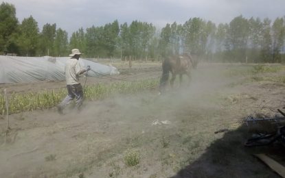 La provincia quiere vender una finca con familias productoras adentro