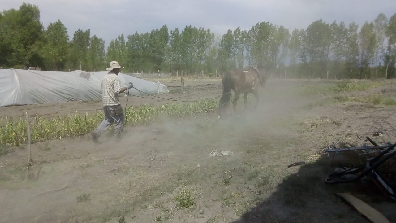 La provincia quiere vender una finca con familias productoras adentro