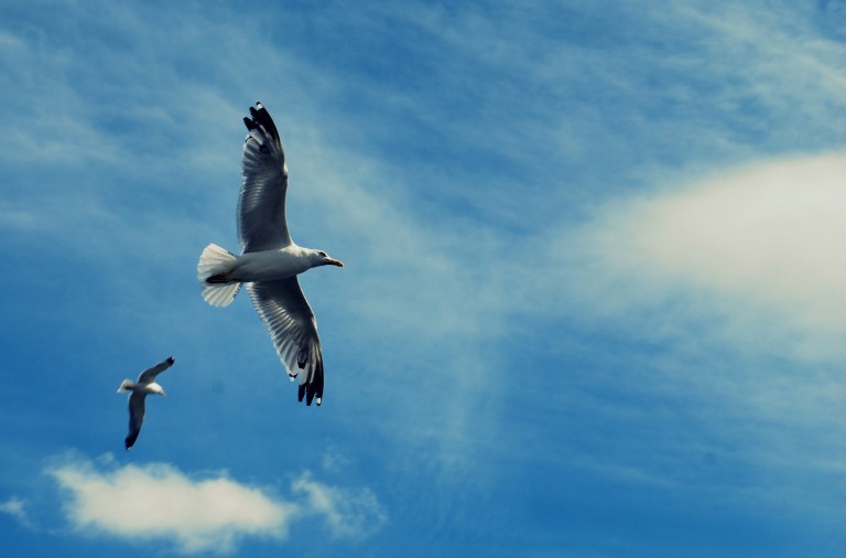 El miedo que hoy prima en la educación