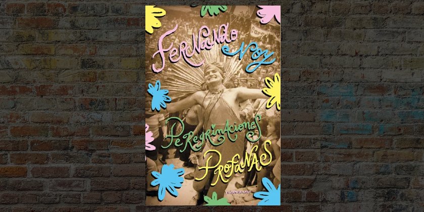 Una mirada sobre Fernando Noy: Arrebatos, excesos, encantamientos